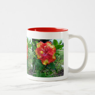 Taza Bicolor Hibisco premiado Taza-Hawaiano