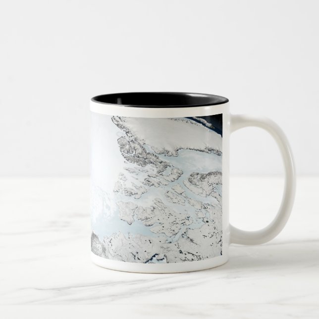 Taza Bicolor Hielo marino ártico 2 (Derecha)