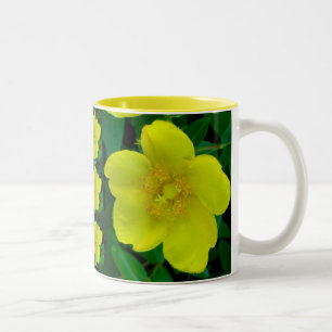 Taza Bicolor Hipericum Mug