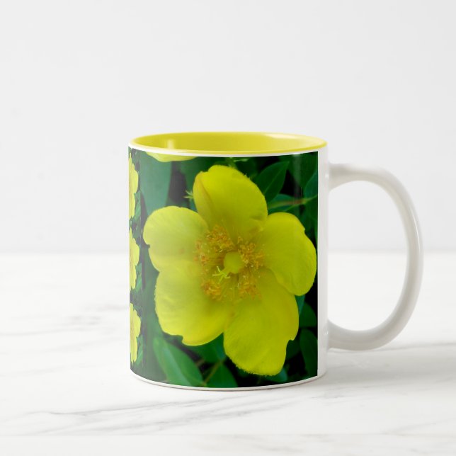 Taza Bicolor Hipericum Mug (Derecha)