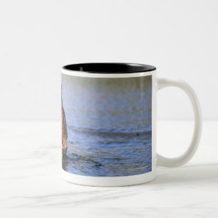 Taza Bicolor Hippopotamus en el río
