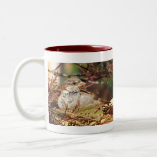 Taza Bicolor Hogar Para La Mug De Vacaciones