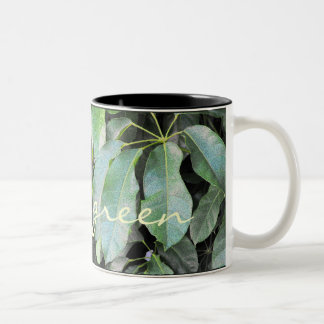 Taza Bicolor Hojas de jardín