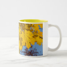Hojas de otoño por TDGallery