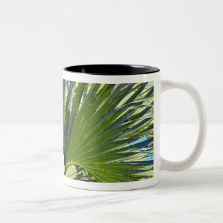 Taza Bicolor Hojas de palma, brisa marina