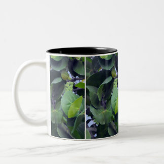 Taza Bicolor Hojas escultóricas