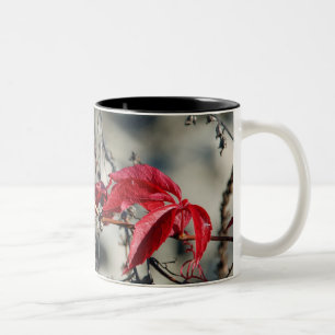 Taza Bicolor Hojas rojas Mug