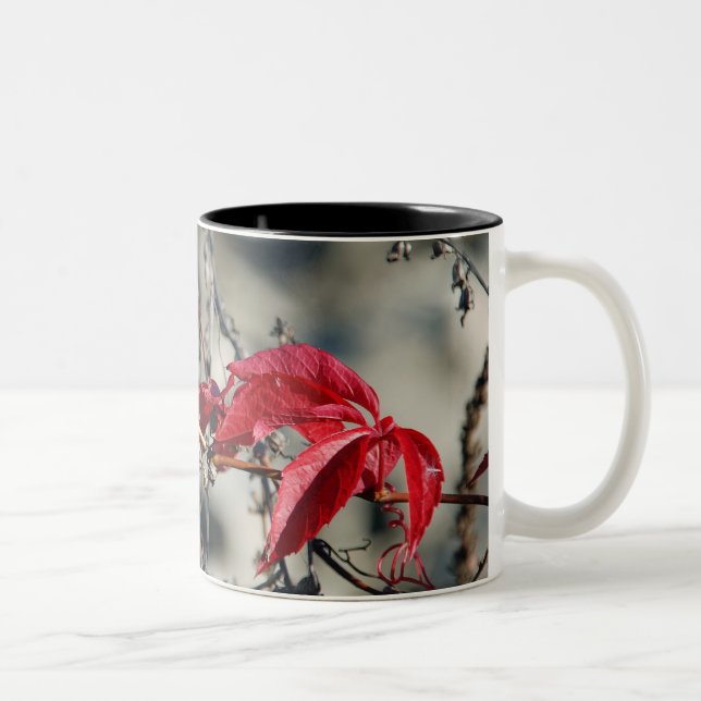 Taza Bicolor Hojas rojas Mug (Derecha)