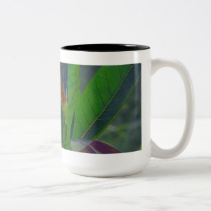Taza Bicolor Hojas verdes cerradas