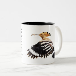 Taza Bicolor Hoopoe Bird ilustracion Bird Bird Art Birdwatcher 