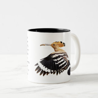 Taza Bicolor Hoopoe Bird ilustracion Bird Bird Art Birdwatcher 