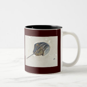 Taza Bicolor Horseshoe Crab Mug