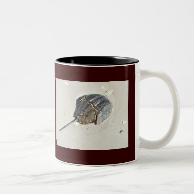 Taza Bicolor Horseshoe Crab Mug (Derecha)