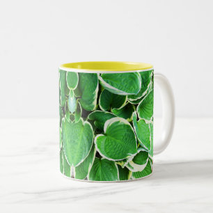 Taza Bicolor Hosta verde