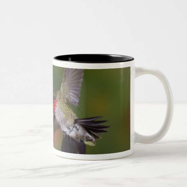 Taza Bicolor Hummingbird (Derecha)