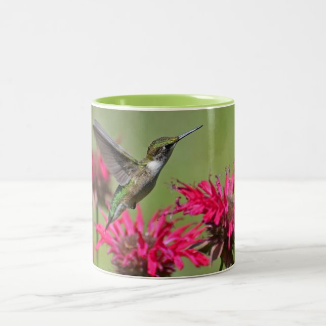 Taza Bicolor Hummingbird (Centro)