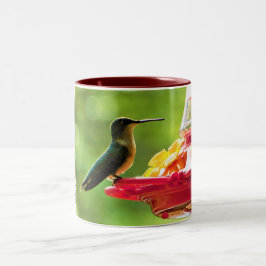 Taza Bicolor Hummingbird 11 oz fotografía de aves rotas