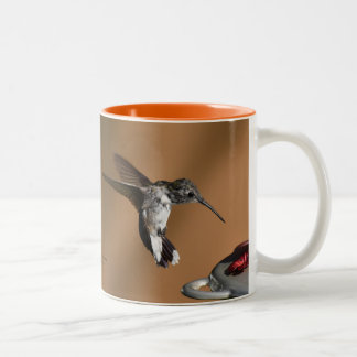 Taza Bicolor Hummingbird Baby 11 oz Mug