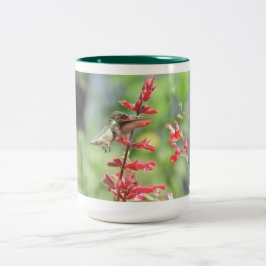 Taza Bicolor Hummingbird Mug