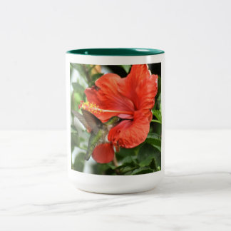 Taza Bicolor Hummingbird Mug