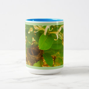 Taza Bicolor Hummingbird Nest