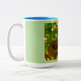 Taza Bicolor Hummingbird Nest