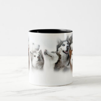 Taza Bicolor Husky siberiano