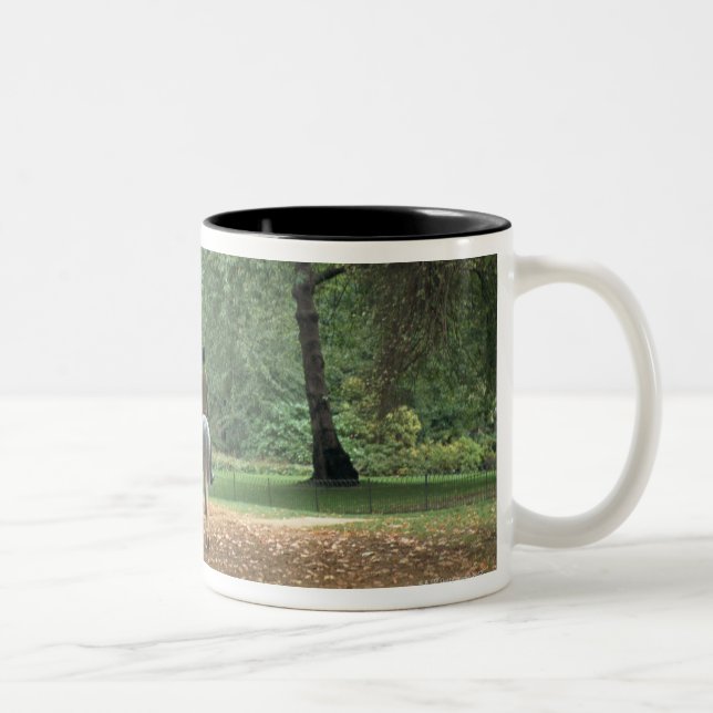 Taza Bicolor Hyde Park (Derecha)