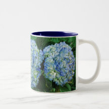 Hydrangea