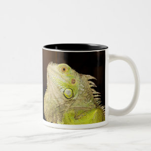 Taza Bicolor Iguana verde (iguana de la iguana)