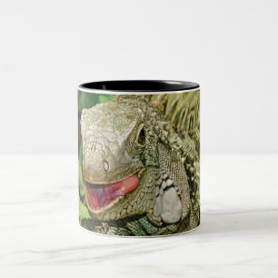 Taza Bicolor Iguanas
