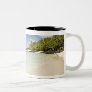 Taza Bicolor Ile Aux Cerf, viaje de un día más popular para 2