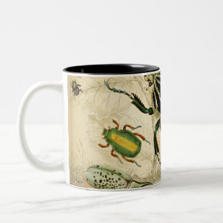 Taza Bicolor Ilustracion de escarabajos de época