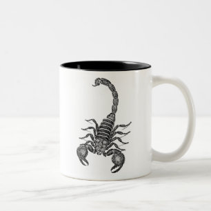 Taza Bicolor Ilustracion del escorpión de los 1800s del vintag