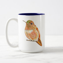 Ilustracion del naranja Roufus Hummingbird