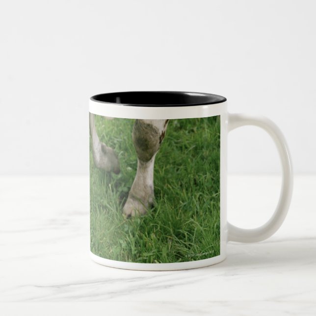 Taza Bicolor ima28991 (Derecha)