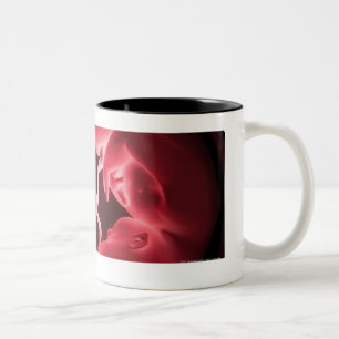 Taza Bicolor Imagen conceptual de una matriz que contiene a