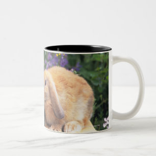 Taza Bicolor Imagen de un gatito y de una situación del conejo