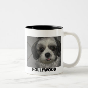 TAZA BICOLOR IMG_0157, HOLLYWOOD