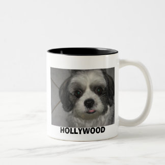 TAZA BICOLOR IMG_0157, HOLLYWOOD