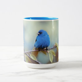 Taza Bicolor Indigo Bunting Mug