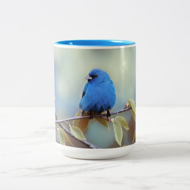 Taza Bicolor Indigo Bunting Mug (Centro)