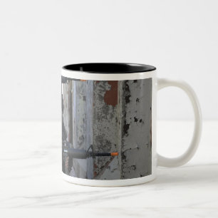 Taza Bicolor Infantes de marina chilenos