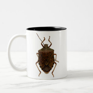 Taza Bicolor Insecto del hedor