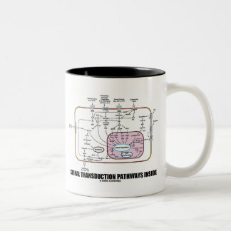 Taza Bicolor Interior de los caminos de la transducción de la