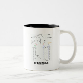 Taza Bicolor Interior de los lípidos (moléculas químicas)