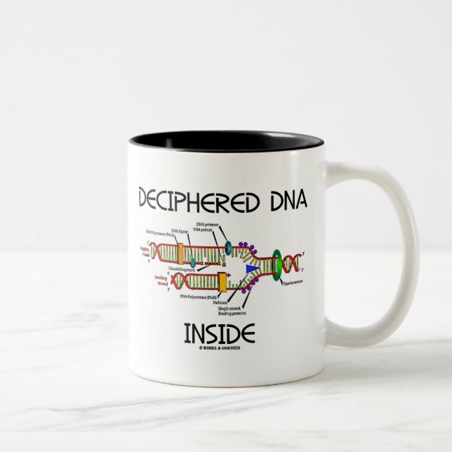 Taza Bicolor Interior descifrado de la DNA (humor de la réplica (Derecha)