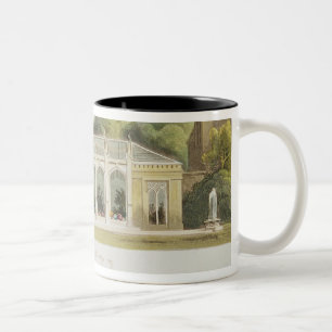 Taza Bicolor Invernadero gótico, 1832