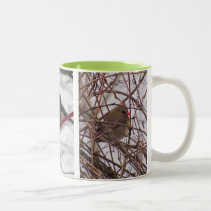 Taza Bicolor Invernal Birds Mug