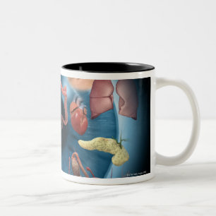 Taza Bicolor Iridology